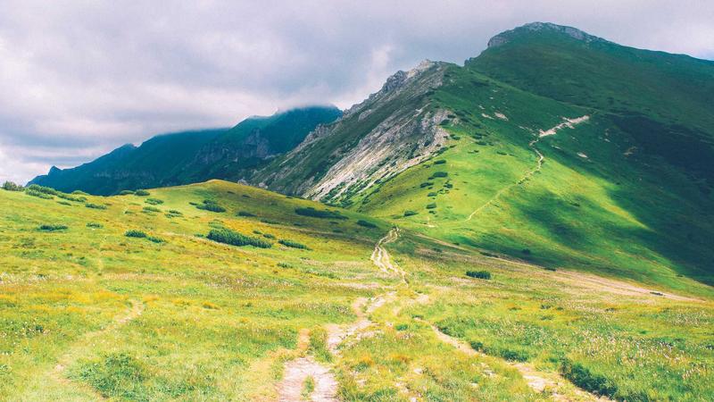 Featured image for Bot-1 Net article