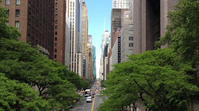 Featured image for Bot-1 Net article