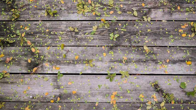 Featured image for Bot-1 Net article