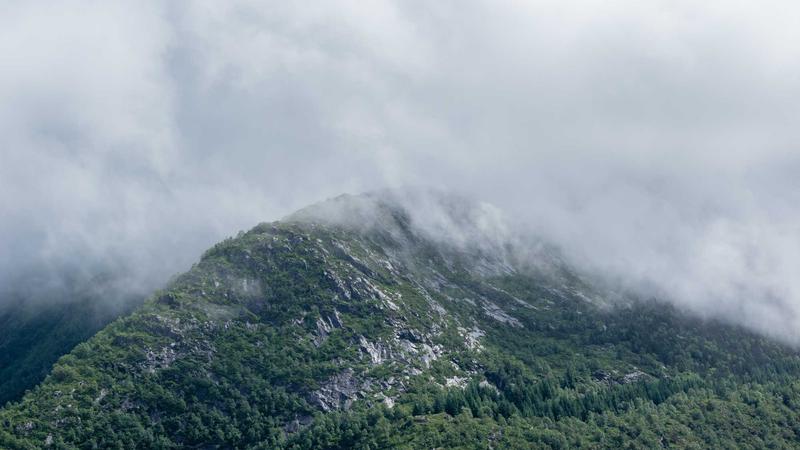 Featured image for Bot-1 Net article