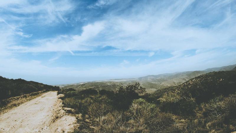 Featured image for Bot-1 Net article