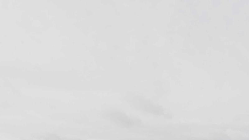 Featured image for Bot-1 Net article