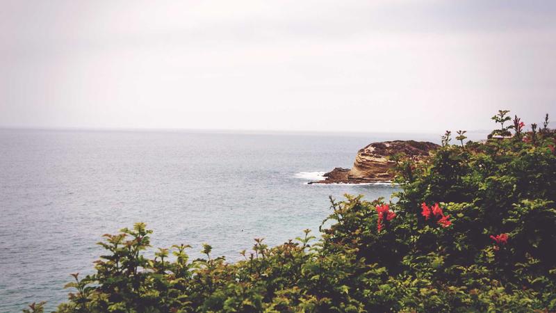 Featured image for Bot-1 Net article