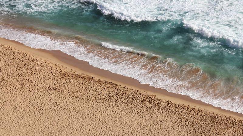 Featured image for Bot-1 Net article