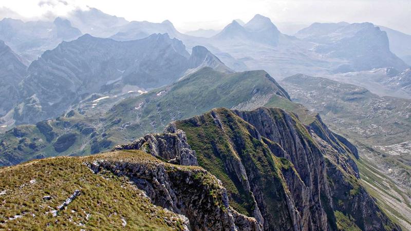 Featured image for Bot-1 Net article