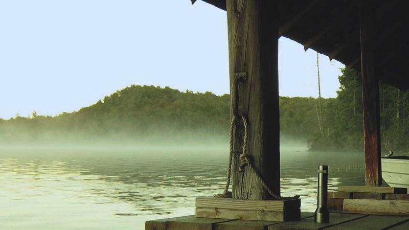 Featured image for Bot-1 Net article