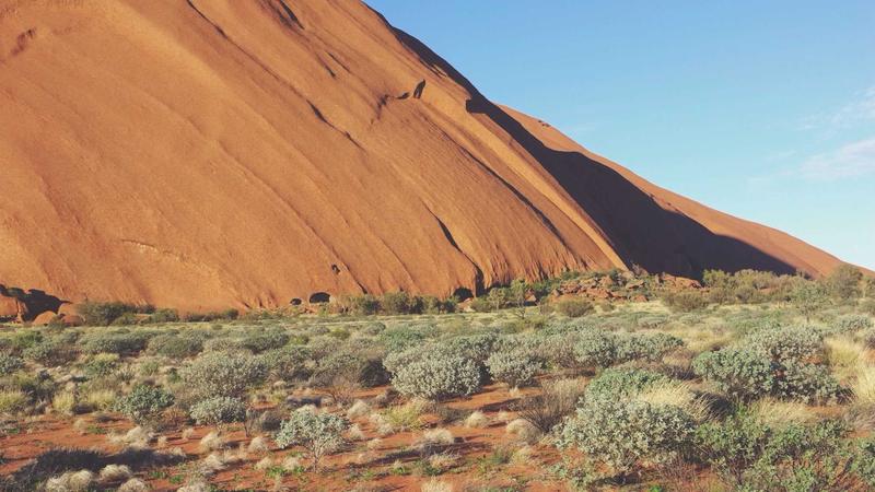 Featured image for Bot-1 Net article