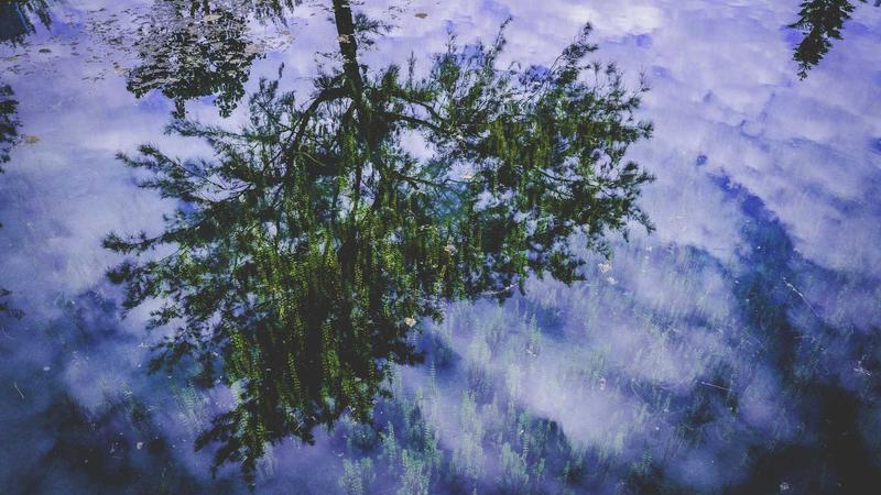 Featured image for Bot-1 Net article