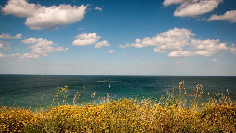 Featured image for Bot-1 Net article