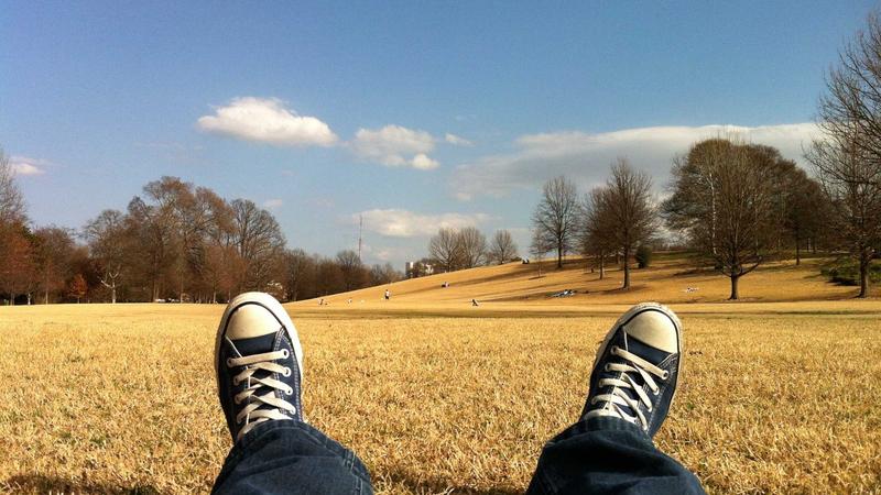 Featured image for Bot-1 Net article