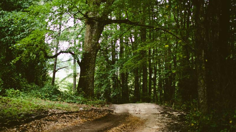 Featured image for Bot-1 Net article