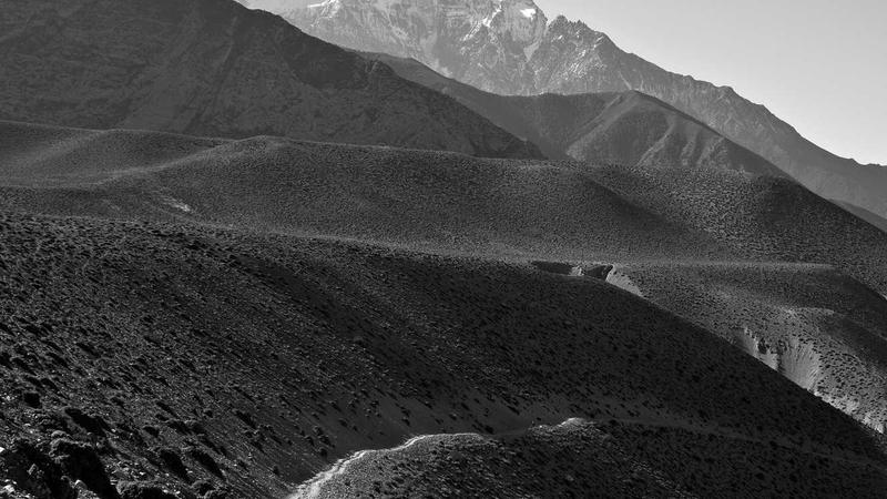 Featured image for Bot-1 Net article