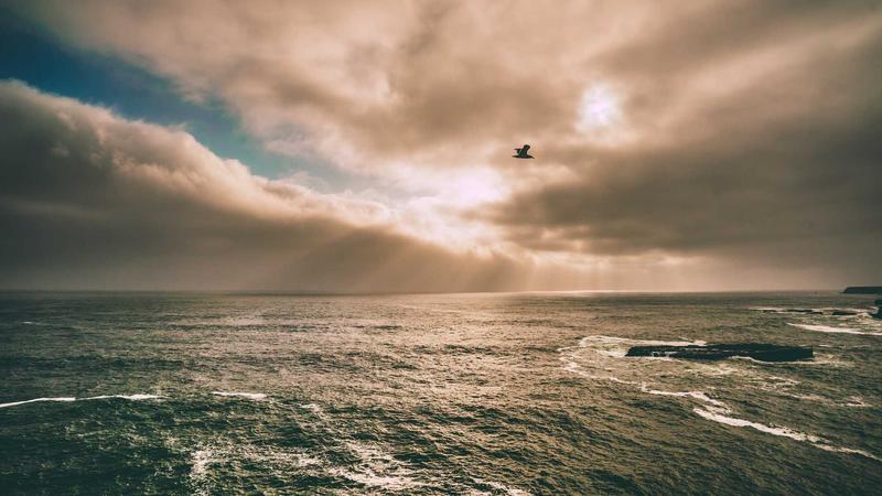 Featured image for Bot-1 Net article