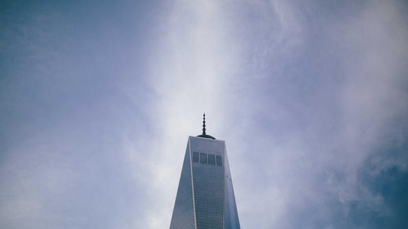 Featured image for Bot-1 Net article