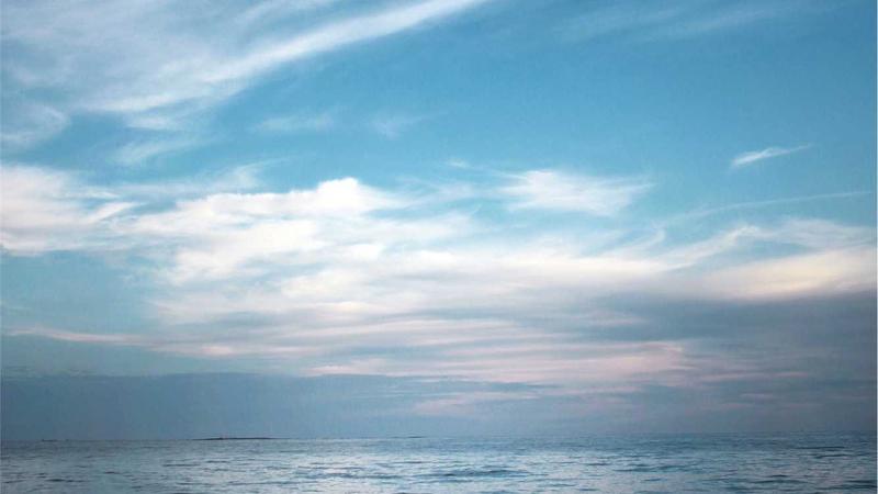 Featured image for Bot-1 Net article