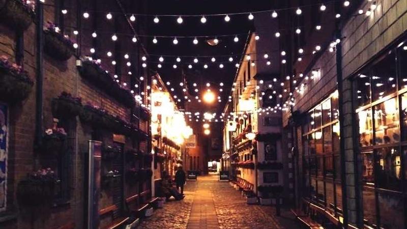 Featured image for Bot-1 Net article