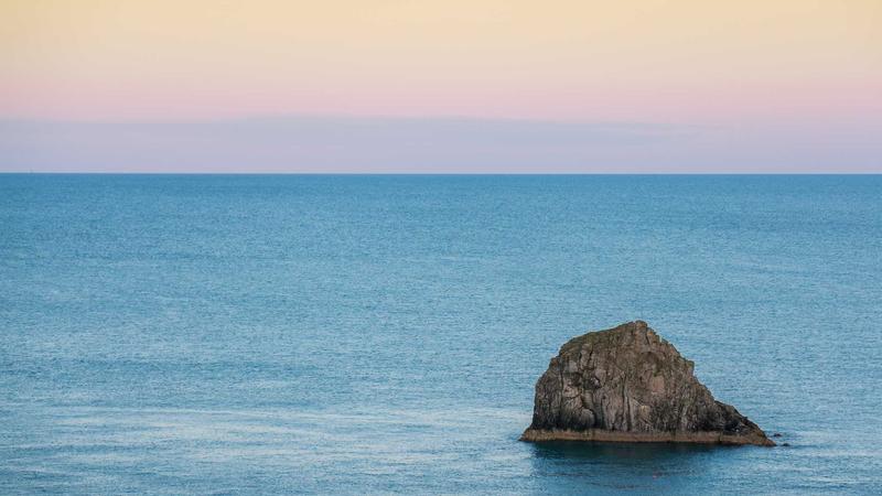 Featured image for Bot-1 Net article