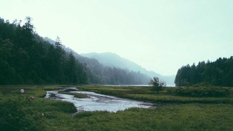 Featured image for Bot-1 Net article