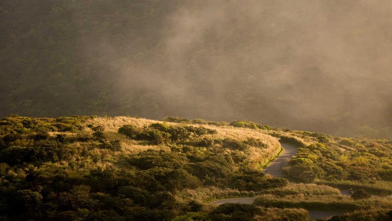 Featured image for Bot-1 Net article