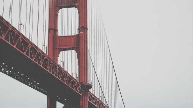 Featured image for Bot-1 Net article